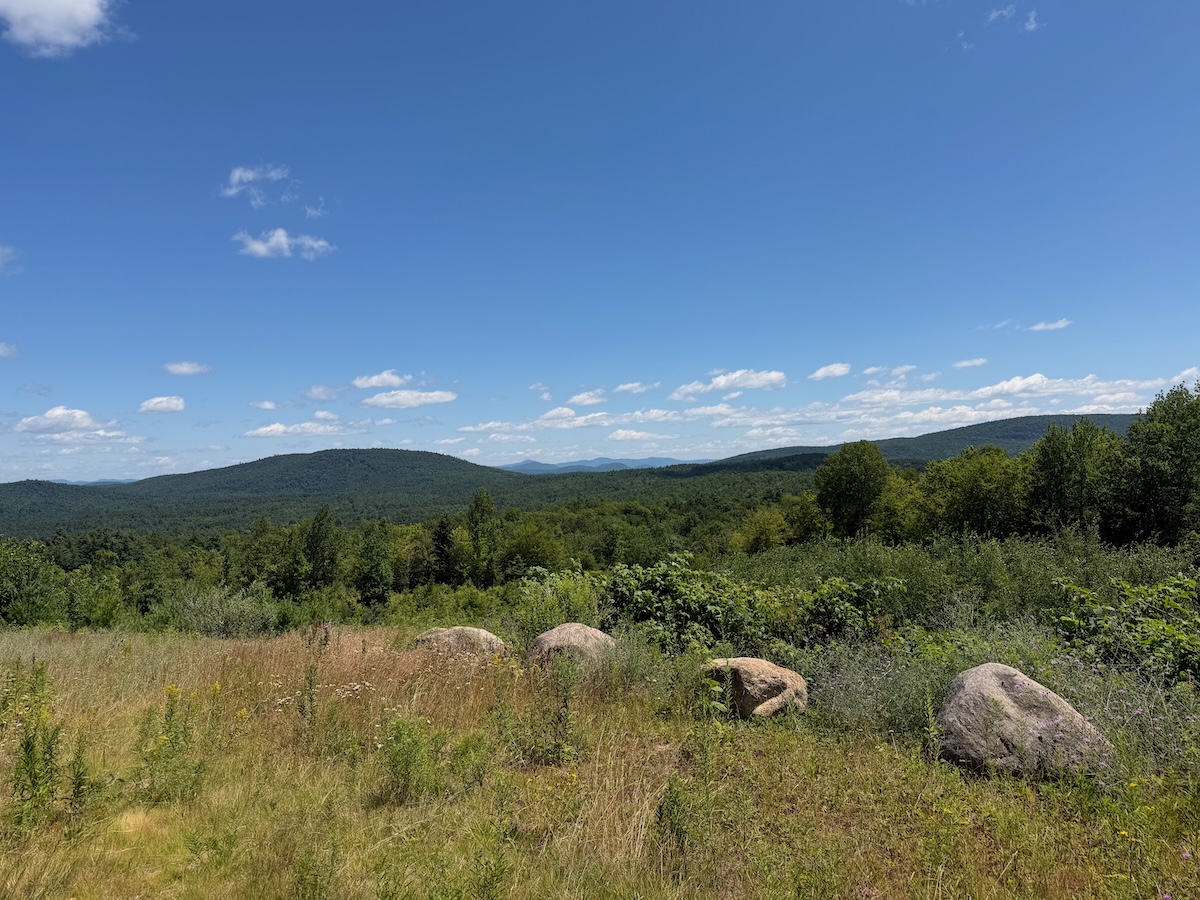 A scenic outlook over forested hills, with granite boulders in a field in the foreground.